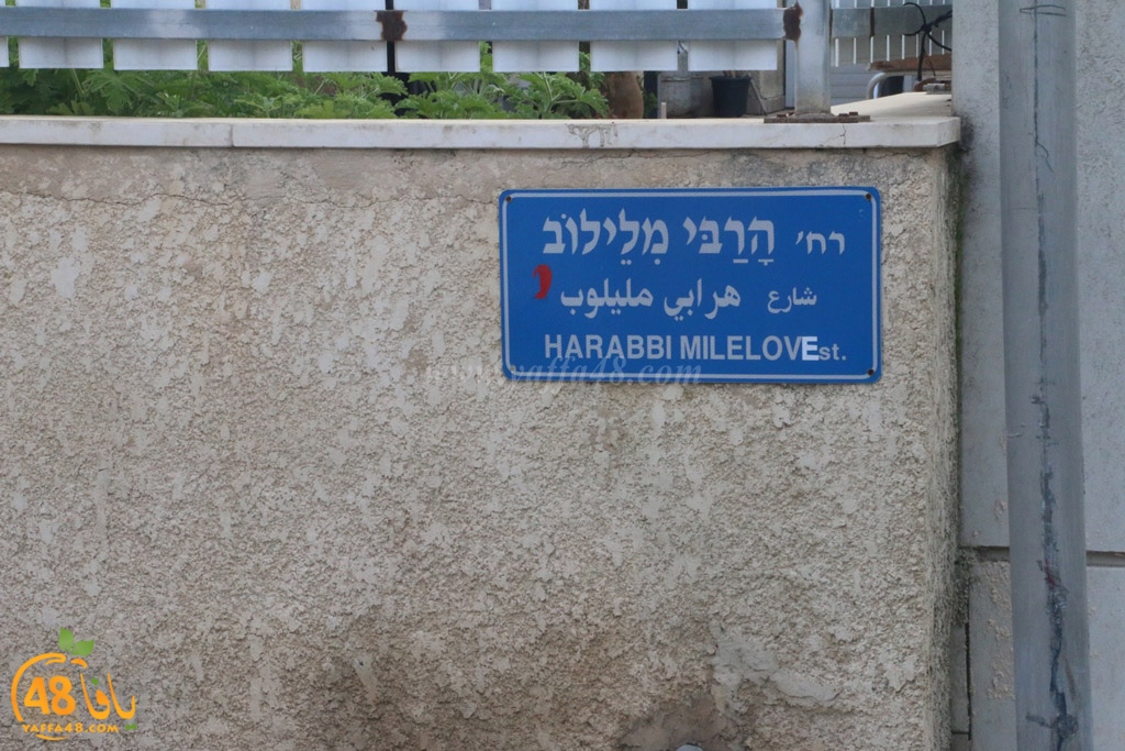 streetesasqq (26).jpg.jpg